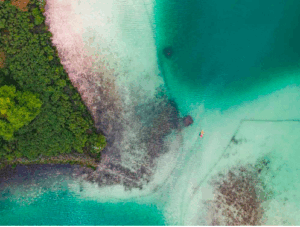 capture d’écran 2025 11 03 à 11.09.34